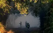 Incendie à Nantes : découverte d'une plantation de cannabis dans un bidonville
