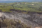 Incendie Var : 70 à 100 ans pour régénérer la forêt méditerranéenne
