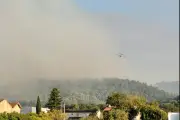 Incendie violent à Brignoles : 60 hectares brûlés, 650 évacués