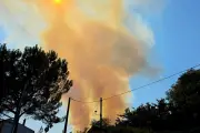 Incendie virulent à Taradeau : 5 hectares brûlés près de Draguignan