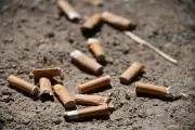 Incendies : 17 % des fumeurs jettent leur mégot en voiture