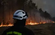 Incendies 2026 : 115 000 hectares brûlés, un record historique