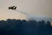 Incendies : 27 départements à risque élevé, 6 en vigilance orange canicule