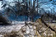 Incendies : 32 personnes interpellées pour départs de feu depuis juin
