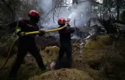 Incendies : 40 000 hectares brûlés en France depuis janvier, 111 interpellations