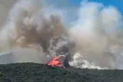 Incendies : 5000 hectares brûlés dans les Pyrénées-Orientales, six suspects interpellés