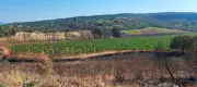 Incendies : agriculteurs ou écologistes, il faudra choisir