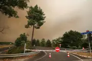 Incendies, attaque Berlin, Barbara Butch : le récap du week-end