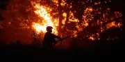 Incendies au Cap Ferret : plus de 10 000 hectares brûlés dans le Sud-Ouest