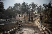 Incendies : écouter pour mieux prévenir et repenser les forêts