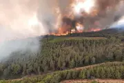 Incendies dans le Sud : feux fixés à Marseille, 900 hectares brûlés dans l'Aude et l'Hérault