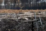 Incendies dans le sud : la France mieux armée quatre ans après 2022 ?