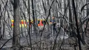 Incendies dans le Var : 2550 hectares brûlés, deux pompiers morts en Gironde