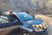 Incendies dans le Var : trois enquêtes ouvertes, dont une pour des départs de feu suspects