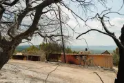 Incendies dans le Var : un suspect interpellé pour une série de départs de feu