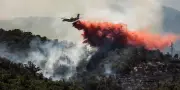 Incendies dans les Pyrénées-Orientales : plus de 4 600 hectares brûlés