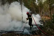 Incendies de Fontainebleau : 4 gardes à vue dont un pompier volontaire