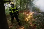 Incendies de Fontainebleau : deux suspects dont un pompier placés en détention