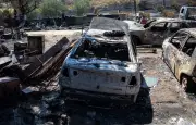 Incendies en Espagne : 11 000 hectares brûlés en 24 heures à Zamora