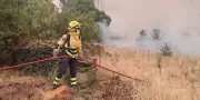 Incendies en Espagne : 29 000 hectares brûlés, un feu historique au nord de Madrid
