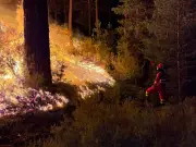 Incendies en Espagne : le pays le plus touché d'Europe, Madrid cerné par les flammes