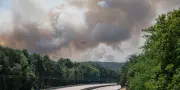 Incendies en forêt de Fontainebleau : plus de 1 900 hectares brûlés