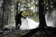 Incendies en France : 11 000 feux, 35 000 hectares brûlés, déjà plus qu'en 2025