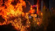 Incendies en France : 6 000 hommes, renforts outre-mer et aide européenne