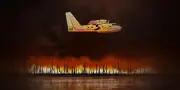 Incendies en France : le pays est-il prêt à faire face ?