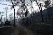 Incendies en France : près de 40 000 hectares brûlés et 111 interpellations