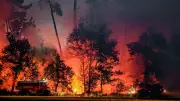 Incendies en Gironde : 12 500 hectares détruits, feux XXL en images