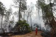 Incendies en Gironde : après une nuit calme, la canicule fait craindre une reprise du mégafeu