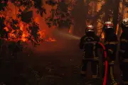 Incendies en Gironde : des feux hors normes, une mise en demeure pour la France