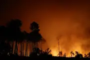 Incendies en Gironde : progression alarmante, feu fixé dans le Var