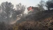 Incendies en Occitanie : un jeudi noir de l'Hérault aux Pyrénées-Orientales
