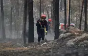 Incendies en Seine-et-Marne : un pompier s'endort au volant, deux blessés