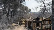Incendies et canicule : 5 départements en rouge, des milliers évacués