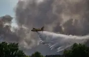 Incendies et canicule : 59 interpellations, 1 900 hectares brûlés à Fontainebleau
