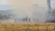 Incendies et canicule : 67 départements en alerte, la France suffoque