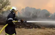 Incendies et canicule : les pompiers français sous pression