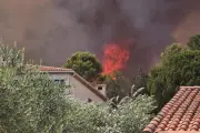 Incendies et réchauffement climatique : un cercle vicieux amplifié par le CO2