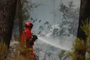 Incendies : faut-il creuser plus de bassines pour protéger les forêts ?