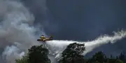 Incendies à Fontainebleau : 2 Canadair, 2 Dash, 3 hélicos mobilisés