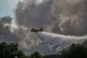 Incendies à Fontainebleau : au-delà du feu, un signal d'alarme écologique