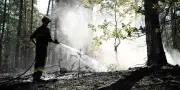 Incendies à Fontainebleau : dispositif allégé après stabilisation
