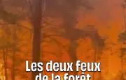 Incendies à Fontainebleau : feux fixés mais pas éteints, 800 pompiers mobilisés