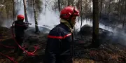 Incendies à Fontainebleau : six gardes à vue, un pompier volontaire reconnaît les faits