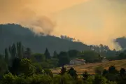 Incendies hors de contrôle : la gauche dénonce l'imprévoyance du gouvernement