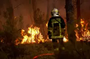 Incendies : le débat sur la nationalisation des pompiers refait surface