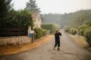 Incendies : les pompiers appellent le nord de la France à se préparer